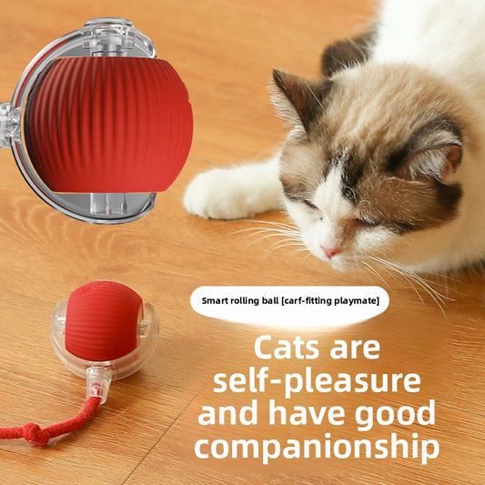 Interactive Rolling Cat Ball Toy – Rope & Plush Styles