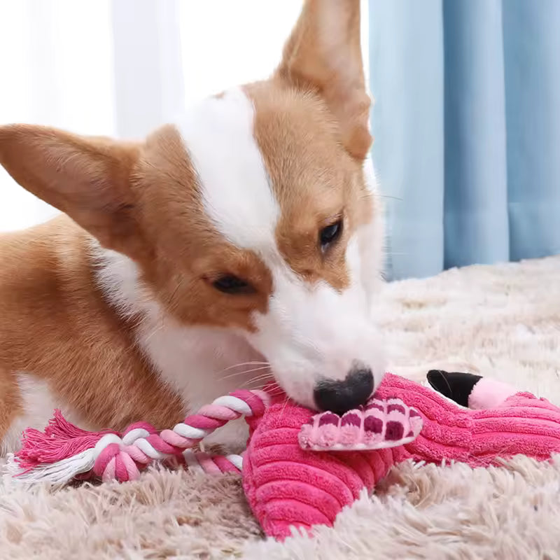 Flamingo Dog Toys