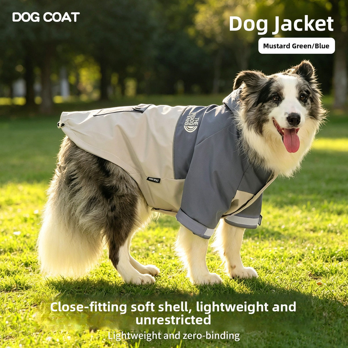 Hooded Nylon Dog Jacket with Reflective Details — QIUOLA | qiuola.com