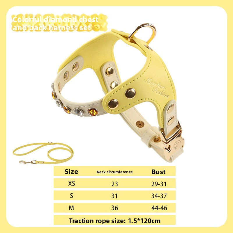 Adjustable PU Leather Small Dog Harness & Leash Set – XS–M — QIUOLA | qiuola.com