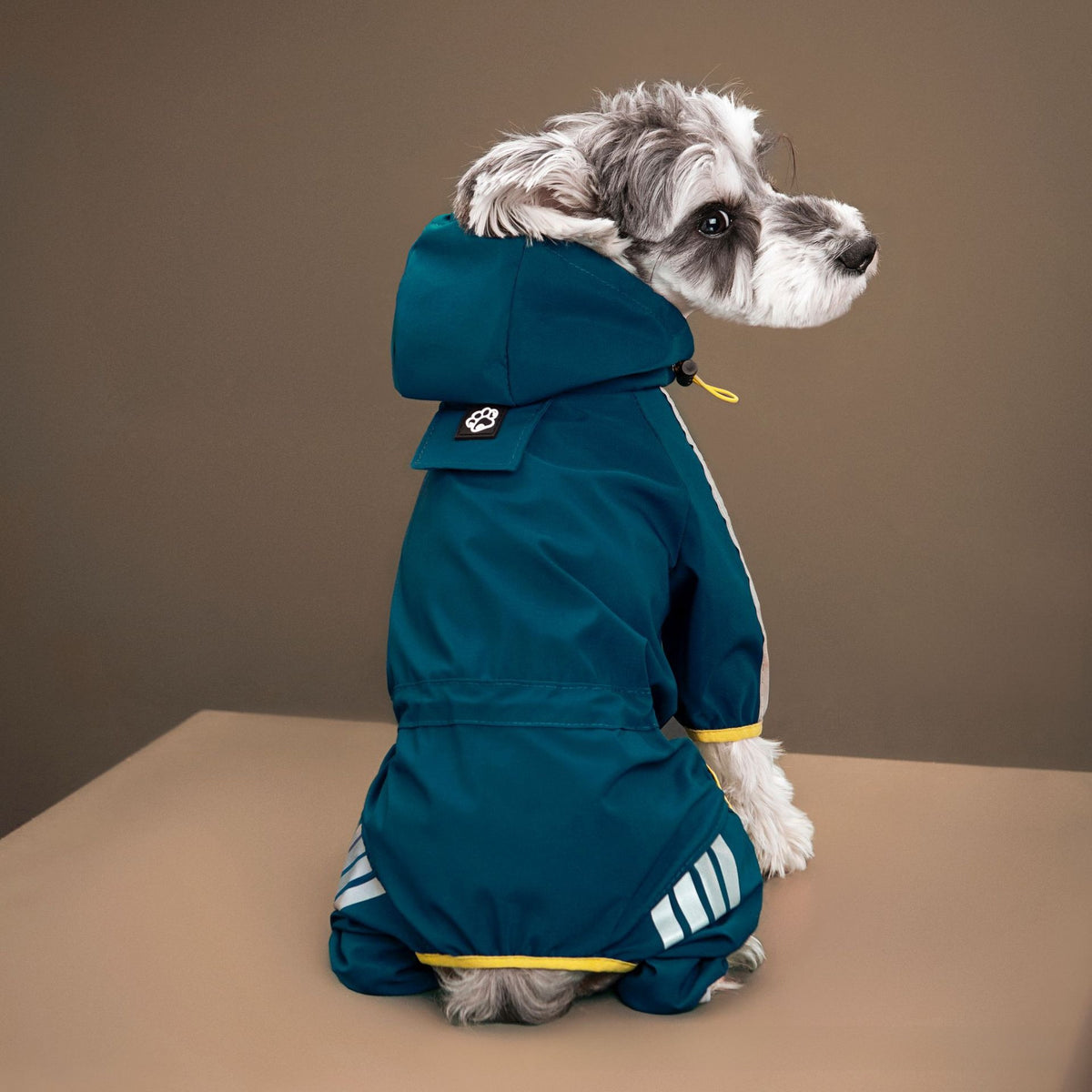 Four-Leg Dog Raincoat – Hooded & Reflective