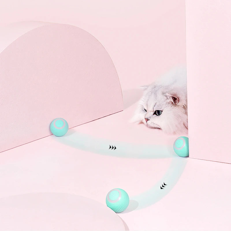 Zoom Paw Smart Cat Chase Car | Interactive Toy