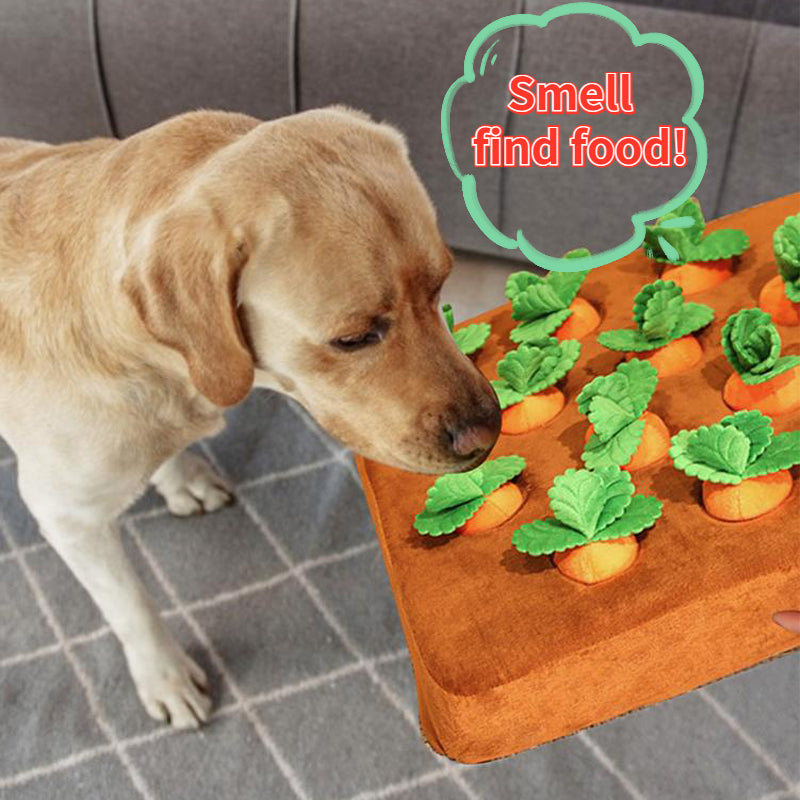 Carrot Sniff Snuffle Mat | Interactive Dog Enrichment Toy