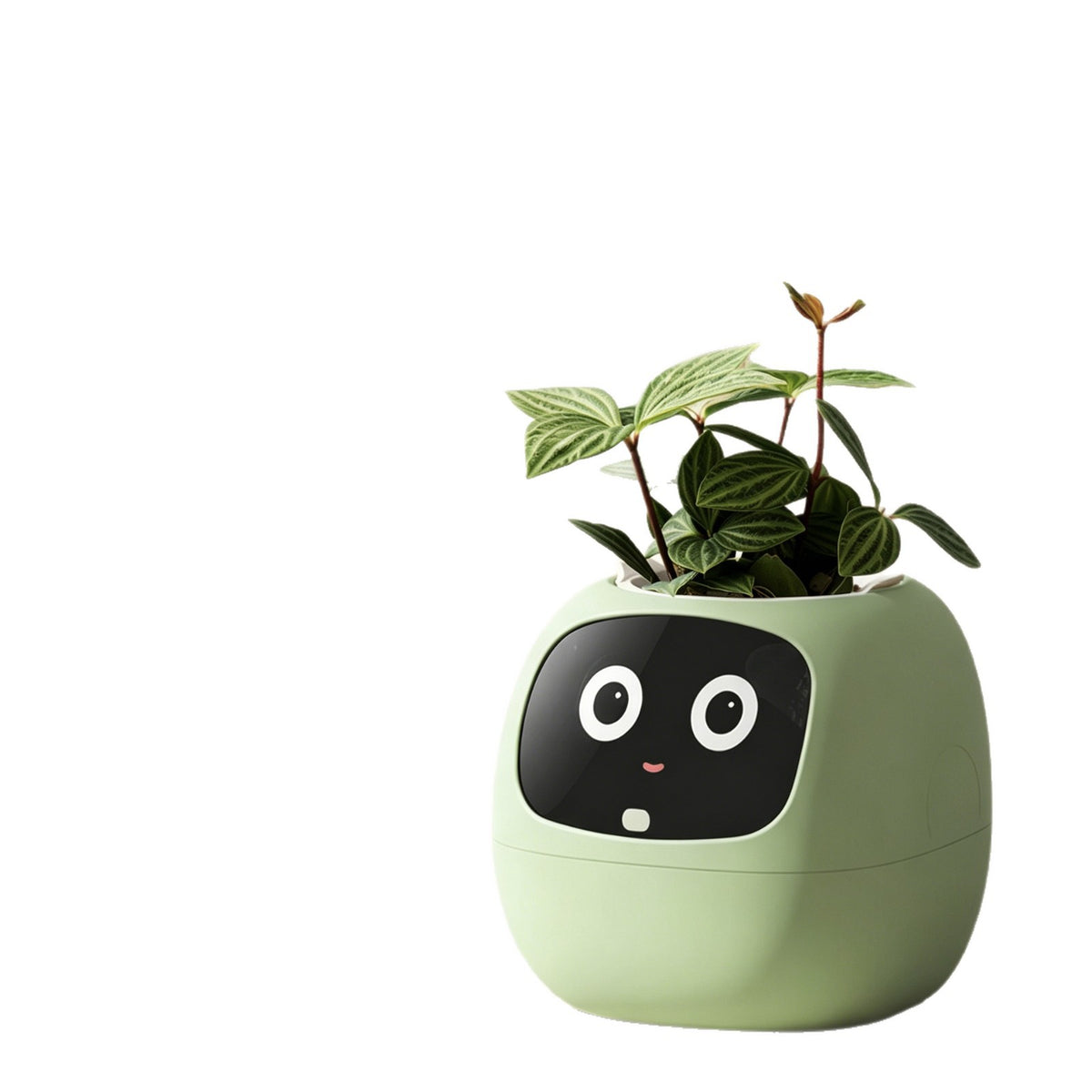Smart Plant Companion Robot – Interactive Desktop Decor
