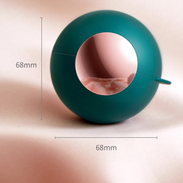 Washable & Reusable Mini Lint Roller for Clothes & Pet Hair