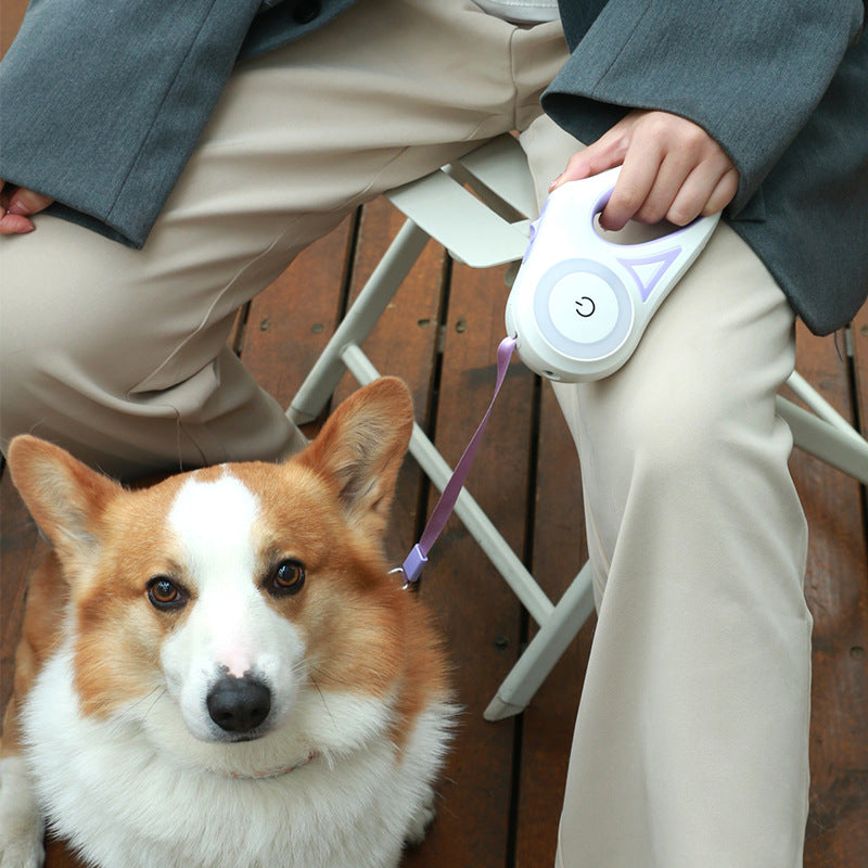 Paw Lead Retractable Dog Leash & Collar Set