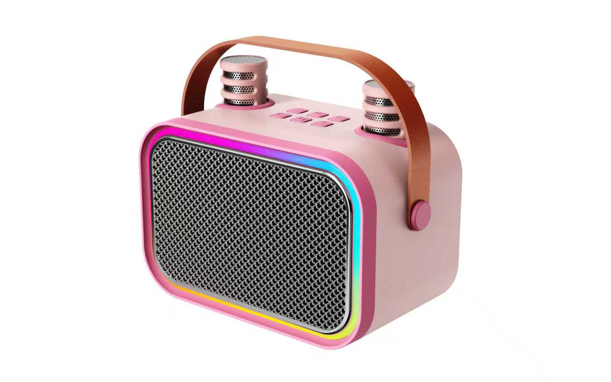 Portable Bluetooth 5.3 Karaoke Speaker – 2 Microphones