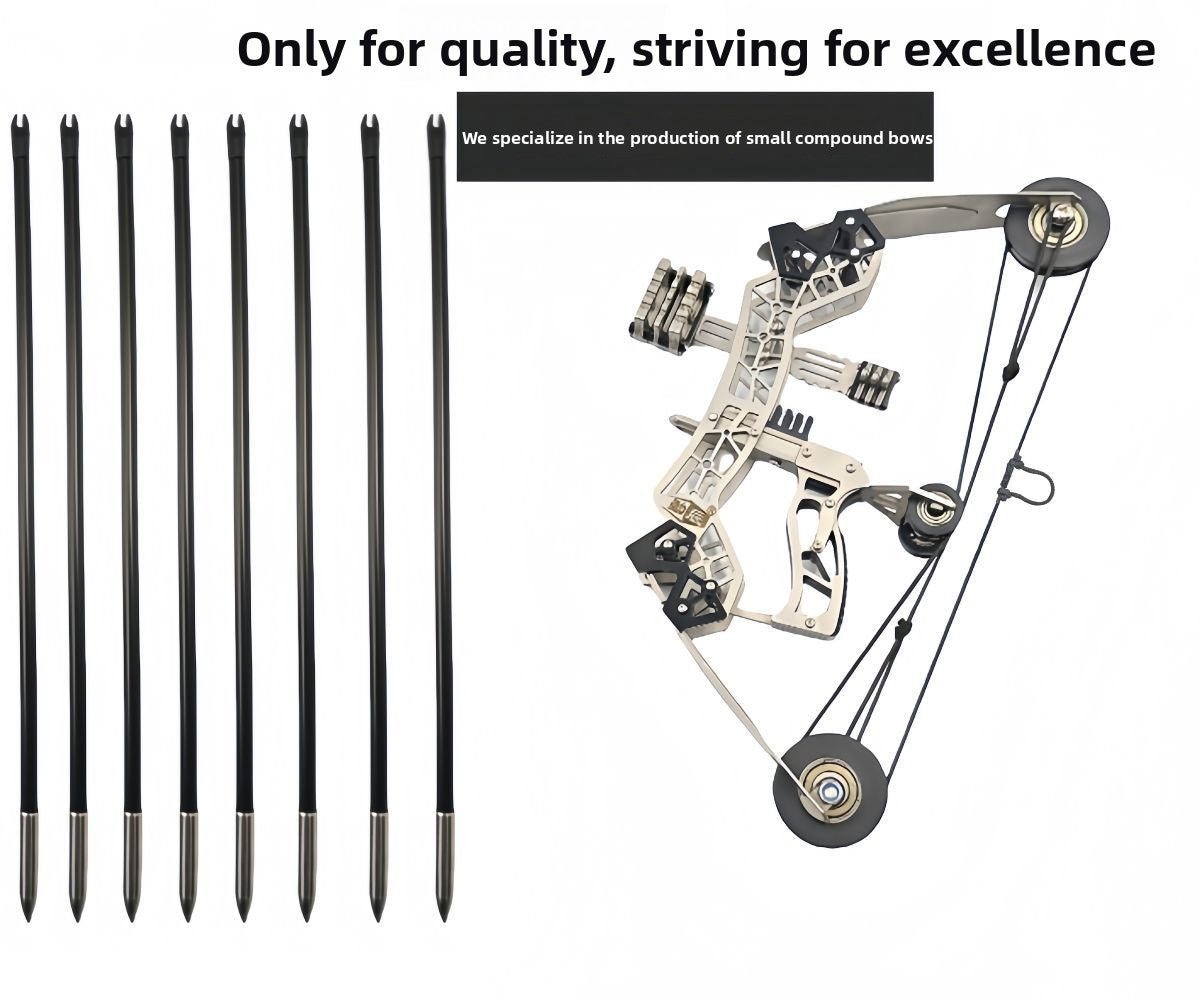 Stainless Steel Compound Bow Set with 4 or 8 Arrows