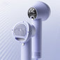 Fluff Dry Smart Pet Dryer & Grooming Comb