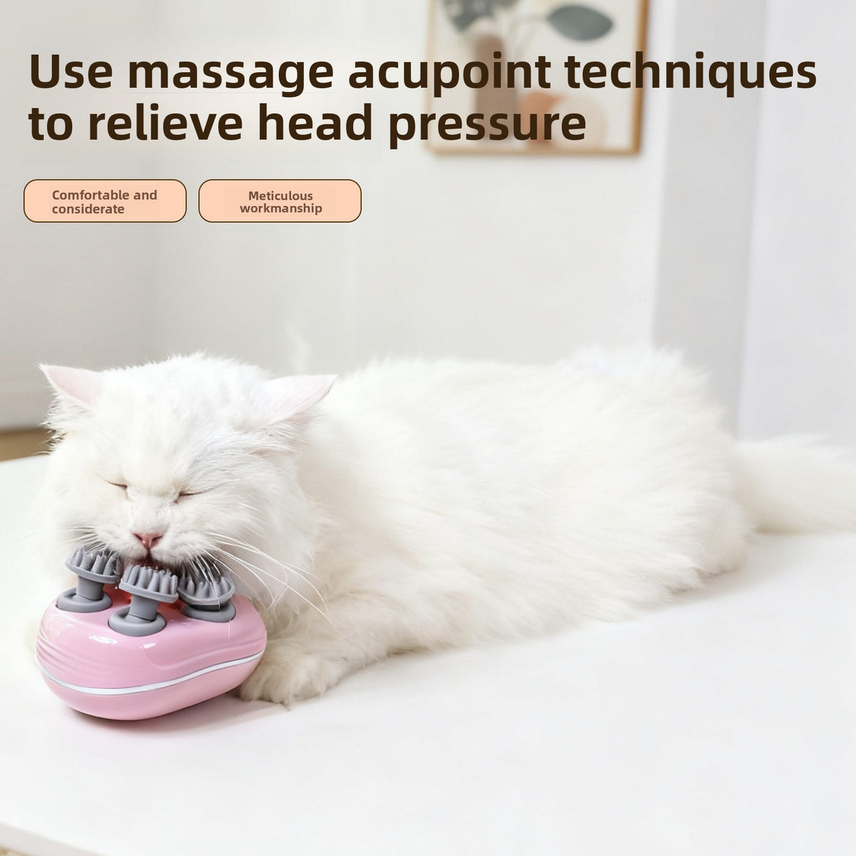Mini Kneading Head & Pet Massager – Multiple Models & Colours