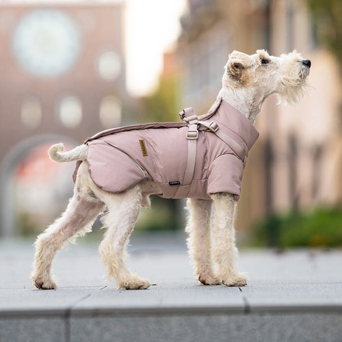 Water-Resistant Cotton-Padded Dog Coat