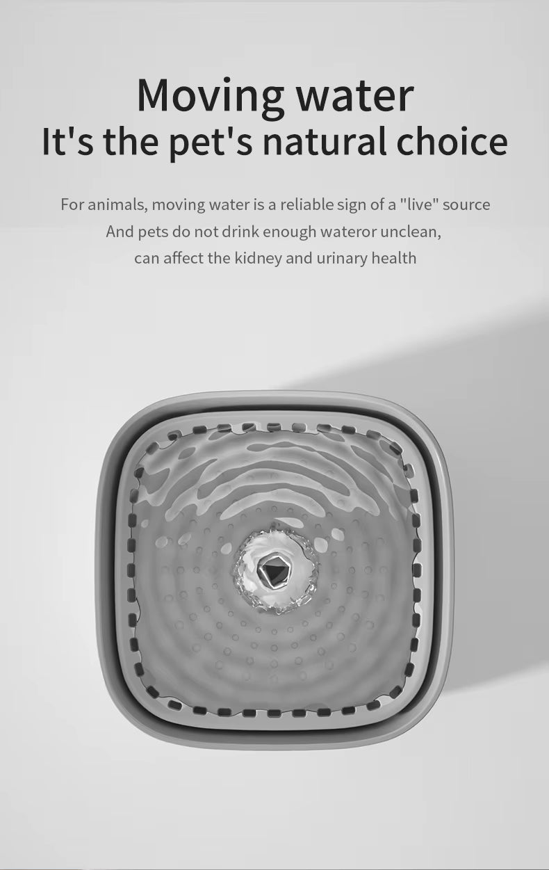 Petal Cat Water Fountain | 3L Silent USB Dispenser