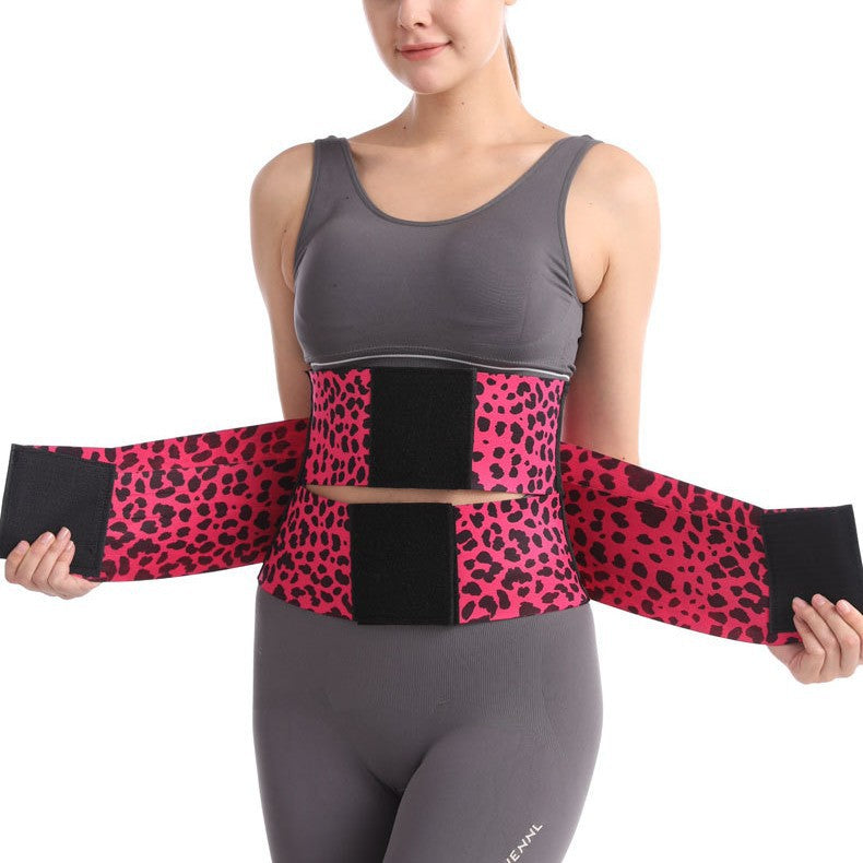 Elastic Waist Shaping Belt with Hook-and-Eye Closure — QIUOLA | qiuola.com