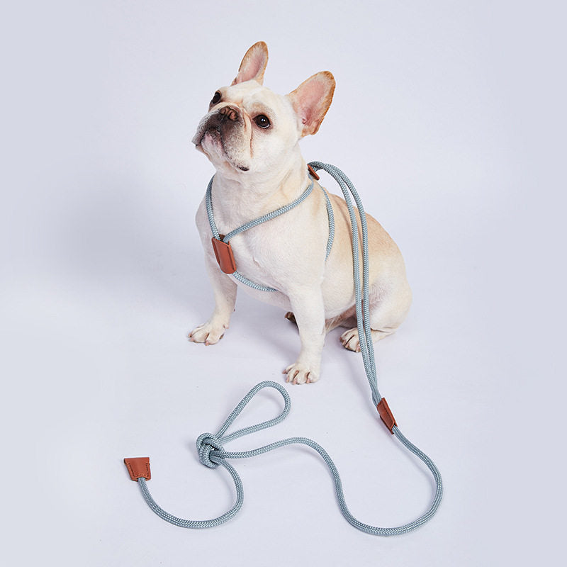 Adjustable Dog Harness & Leash for Walking, 143 cm — QIUOLA | qiuola.com