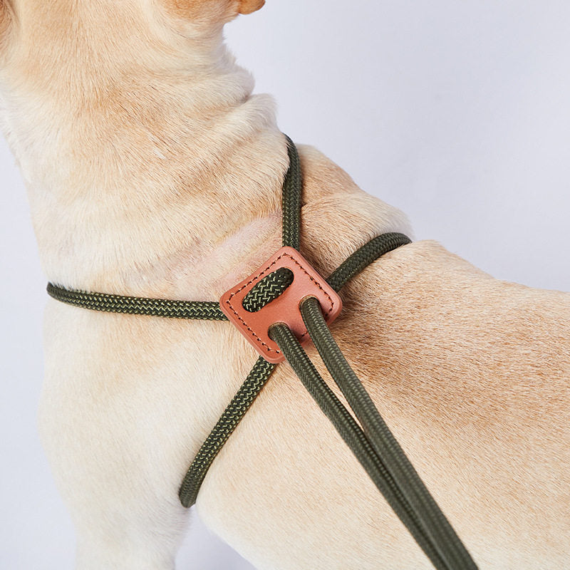 Adjustable Dog Harness & Leash for Walking, 143 cm — QIUOLA | qiuola.com