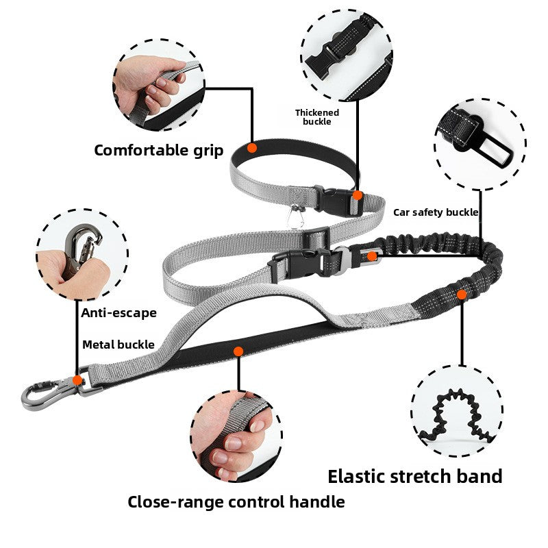 Adjustable Hands-Free Dog Leash with Anti-Pull Feature — QIUOLA | qiuola.com