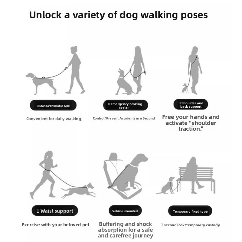 Adjustable Hands-Free Dog Leash with Anti-Pull Feature — QIUOLA | qiuola.com