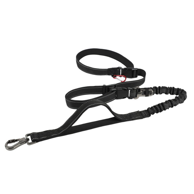 Adjustable Hands-Free Dog Leash with Anti-Pull Feature — QIUOLA | qiuola.com