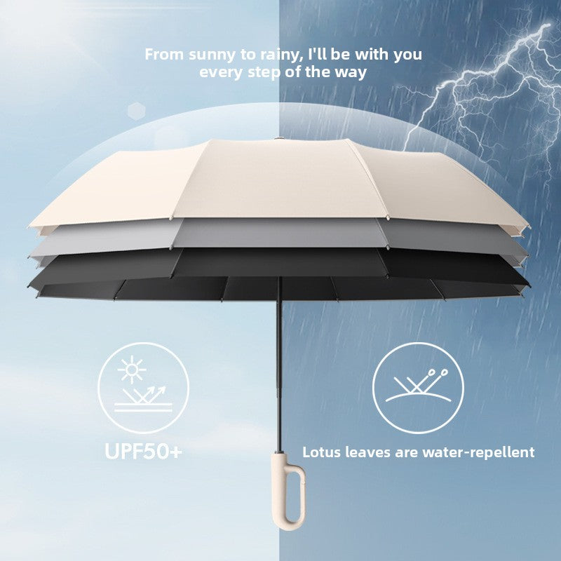 Automatic 10-Rib Umbrella with Ring Handle — QIUOLA | qiuola.com