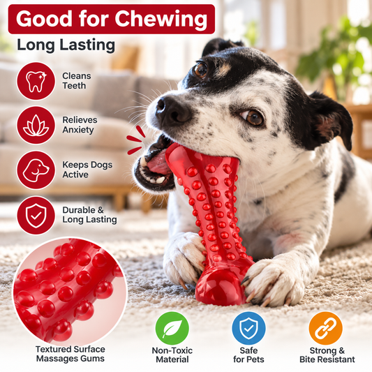 Chomp Proof Natural Rubber Dog Chew Toy — QIUOLA | qiuola.com