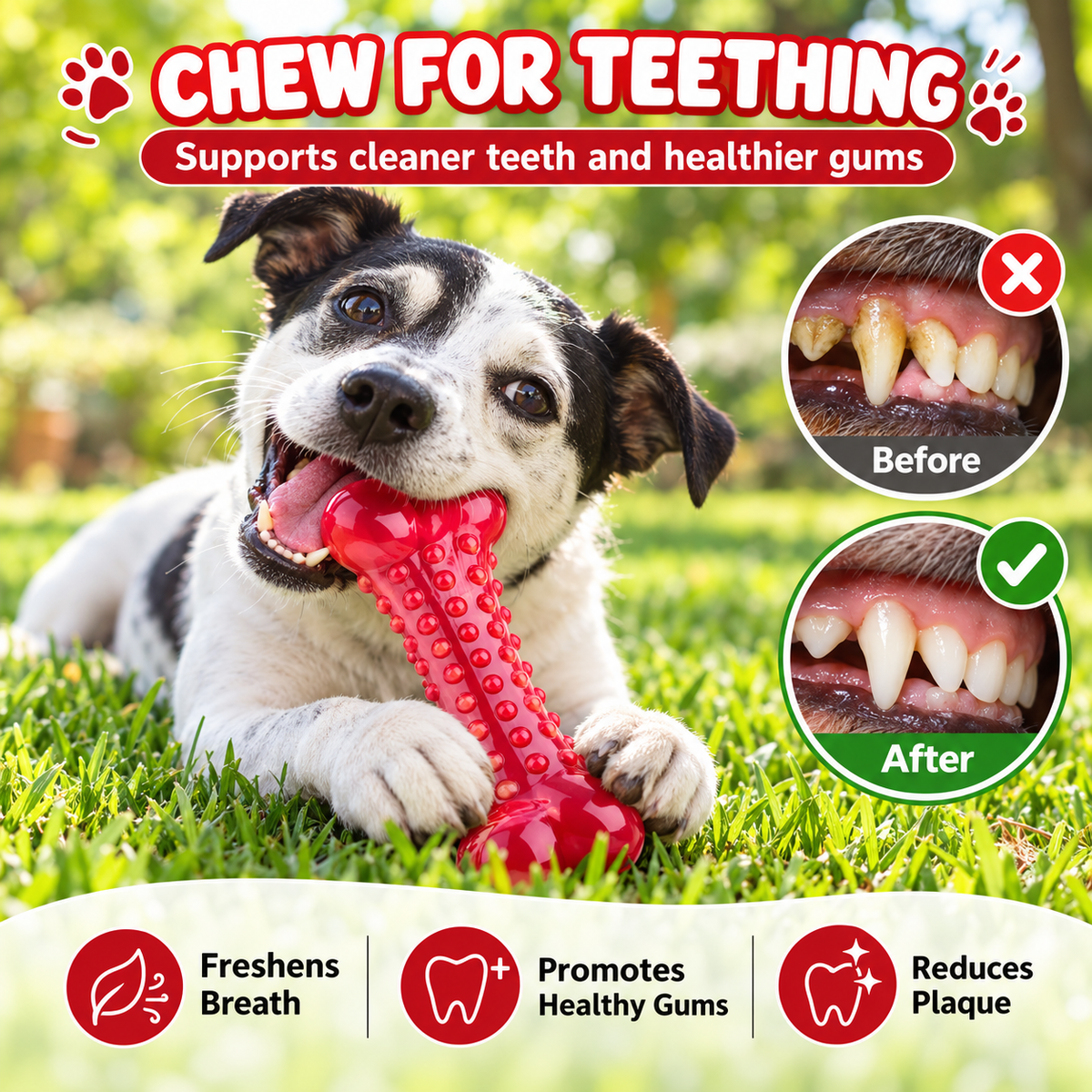 Chomp Proof Natural Rubber Dog Chew Toy — QIUOLA | qiuola.com