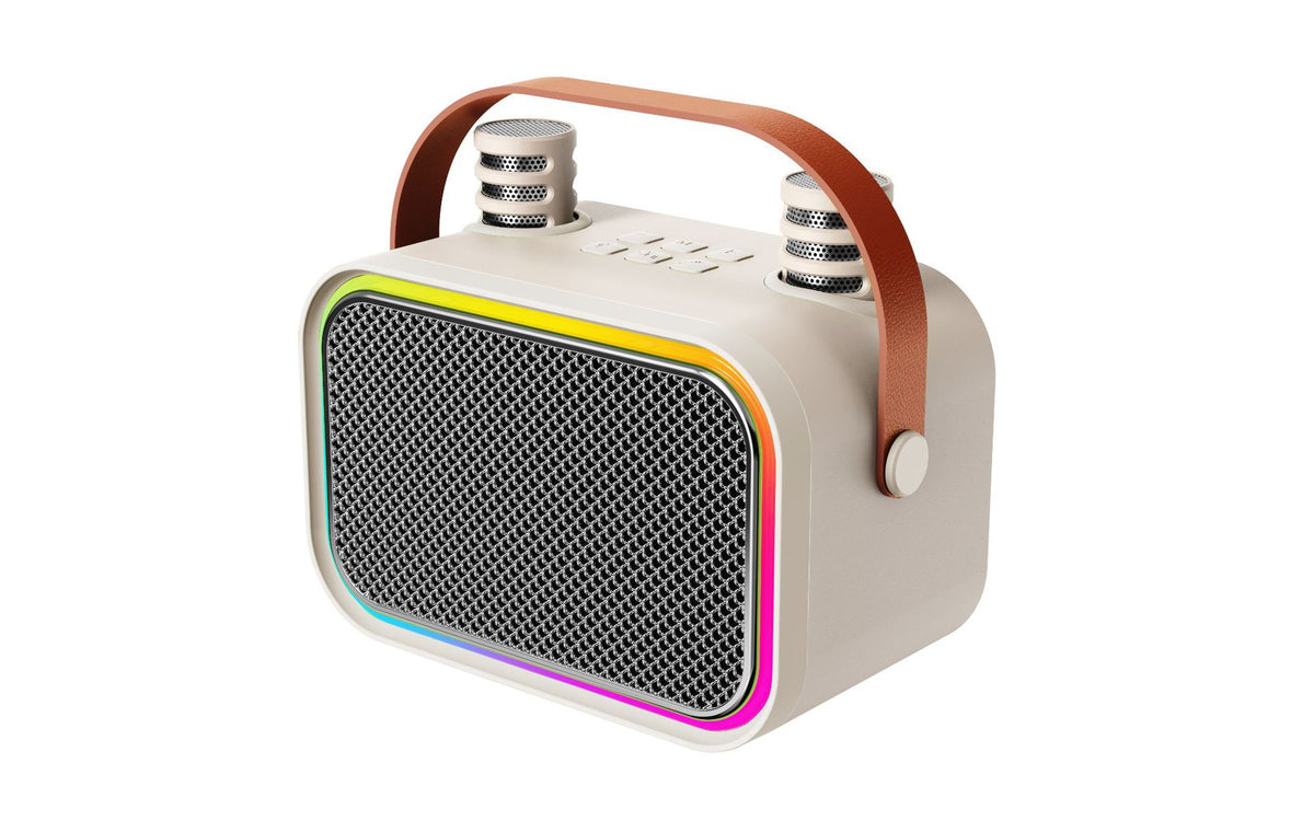 Portable Bluetooth 5.3 Karaoke Speaker – 2 Microphones