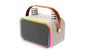 Portable Bluetooth 5.3 Karaoke Speaker – 2 Microphones