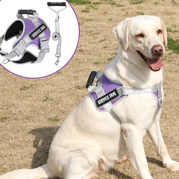 Adjustable Reflective Dog Harness – Leash Options — QIUOLA | qiuola.com