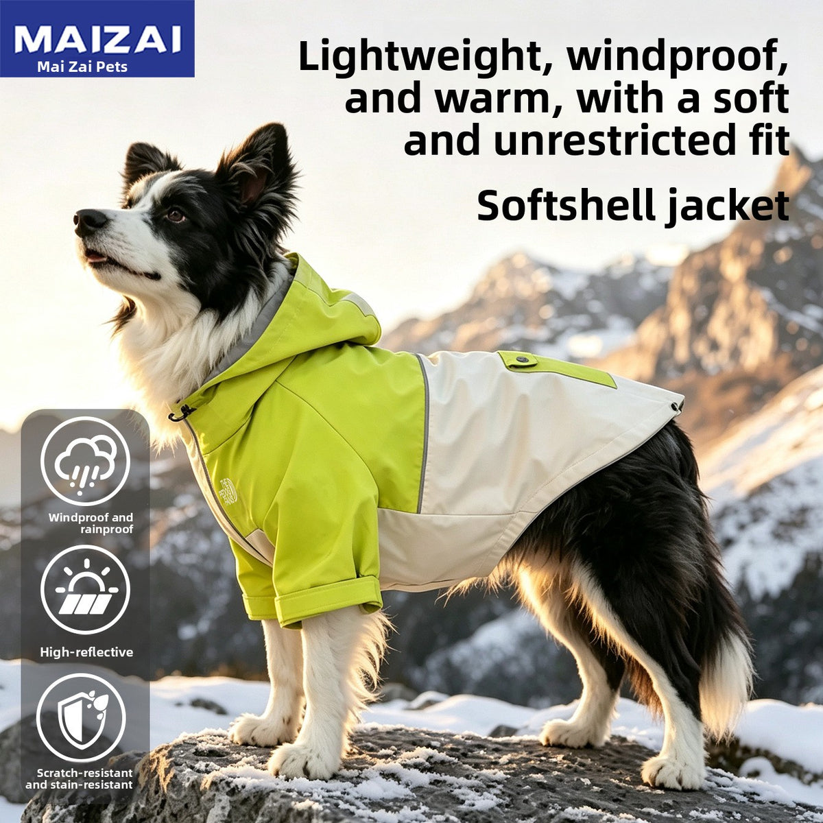 Hooded Nylon Dog Jacket with Reflective Details — QIUOLA | qiuola.com