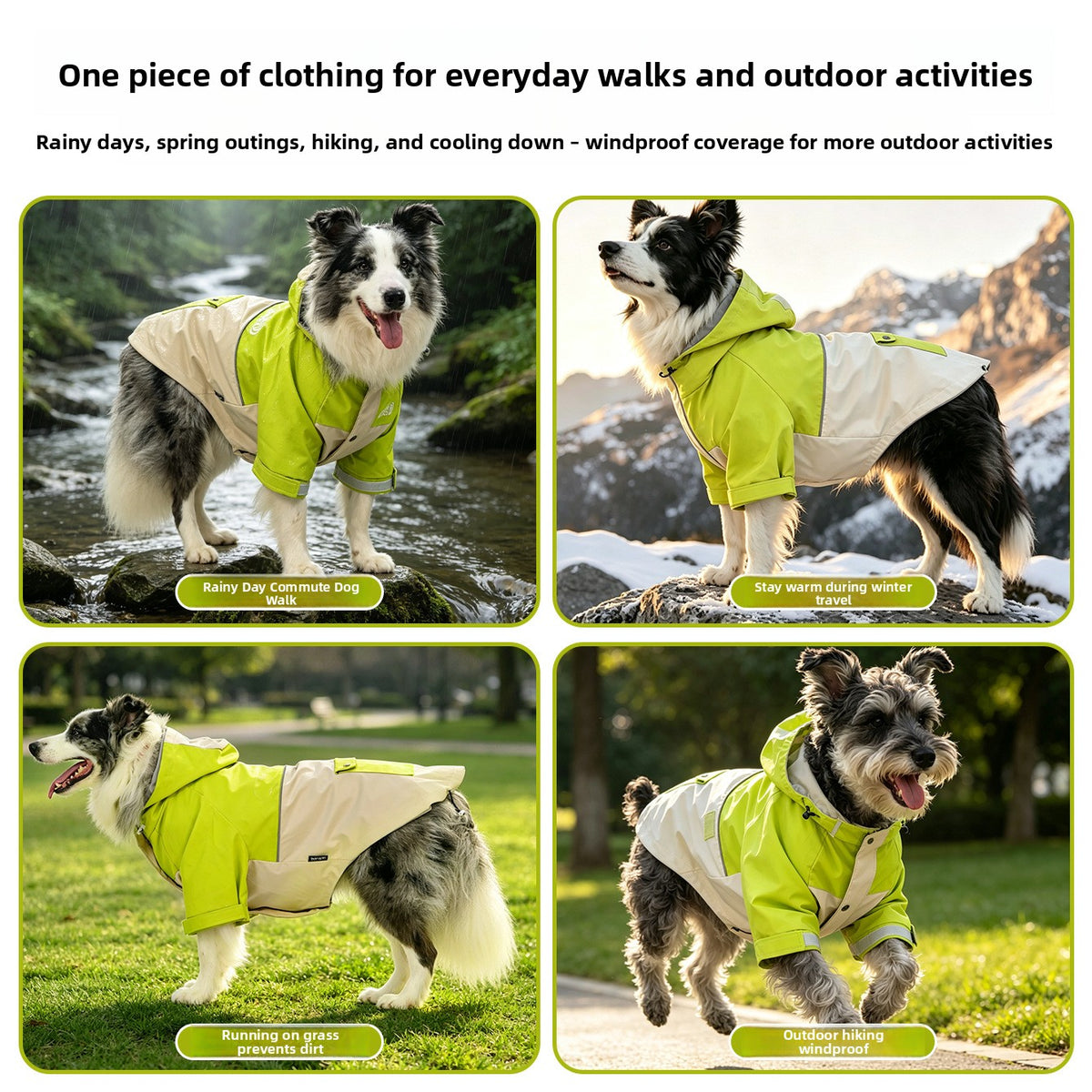 Hooded Nylon Dog Jacket with Reflective Details — QIUOLA | qiuola.com