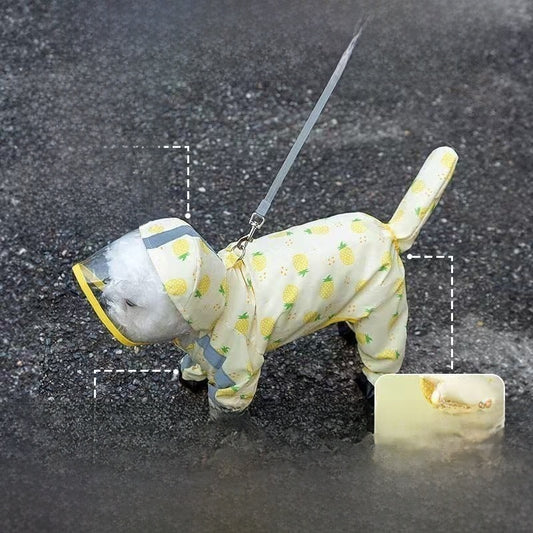 Four-Leg Dog Raincoat in Pineapple & Strawberry Designs — QIUOLA | qiuola.com