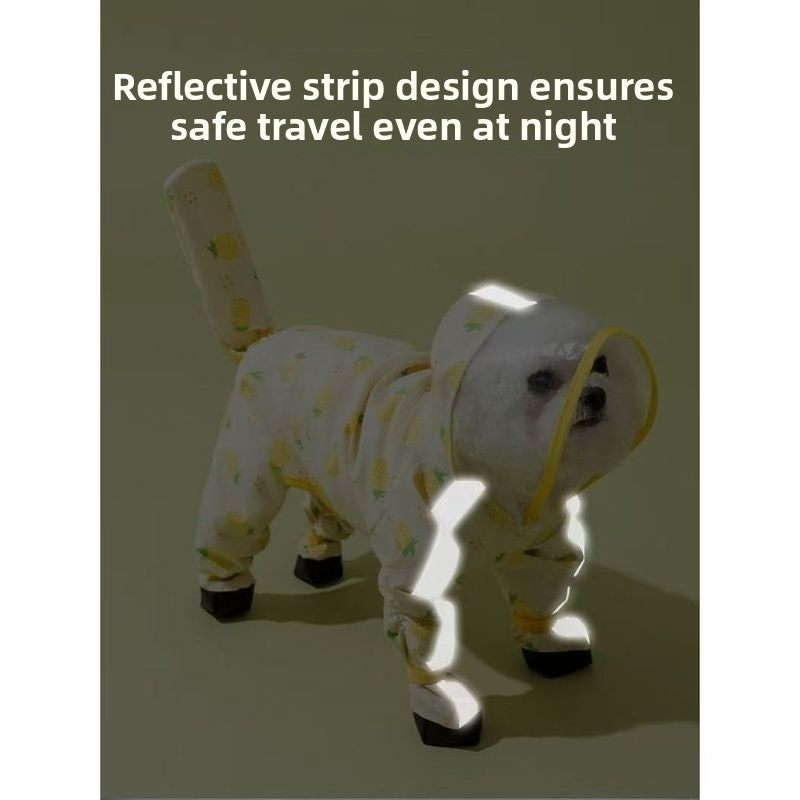 Four-Leg Dog Raincoat in Pineapple & Strawberry Designs — QIUOLA | qiuola.com
