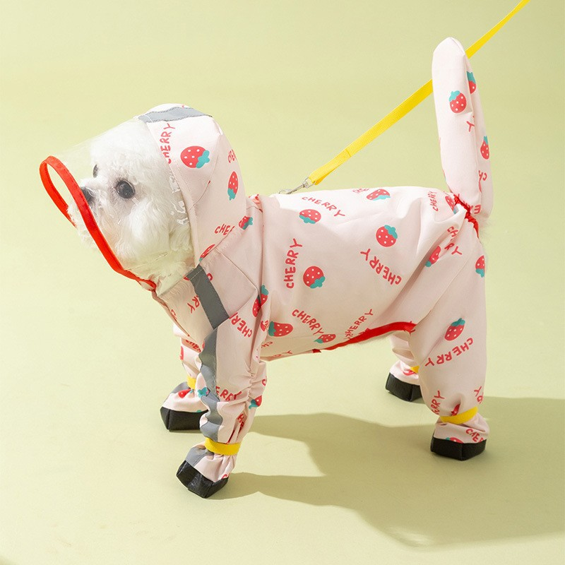 Four-Leg Dog Raincoat in Pineapple & Strawberry Designs — QIUOLA | qiuola.com