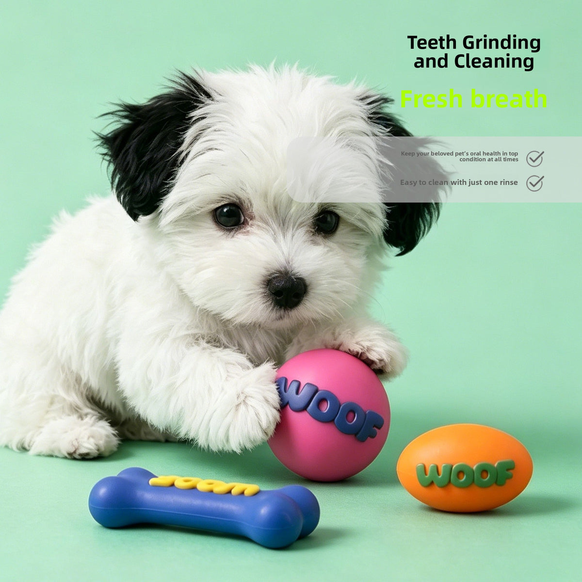 WOOF Pet Play Toy – Football, Bone & Ball Styles — QIUOLA | qiuola.com