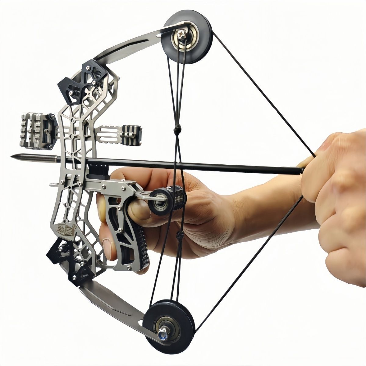 Stainless Steel Compound Bow Set with 4 or 8 Arrows