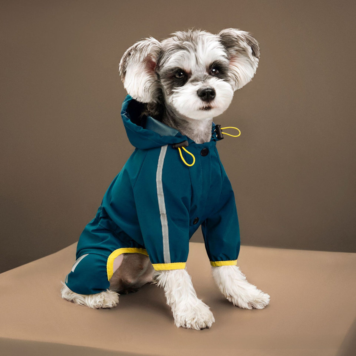 Four-Leg Dog Raincoat – Hooded & Reflective