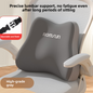 Ergonomic Memory Foam Lumbar Support Cushion — QIUOLA | qiuola.com