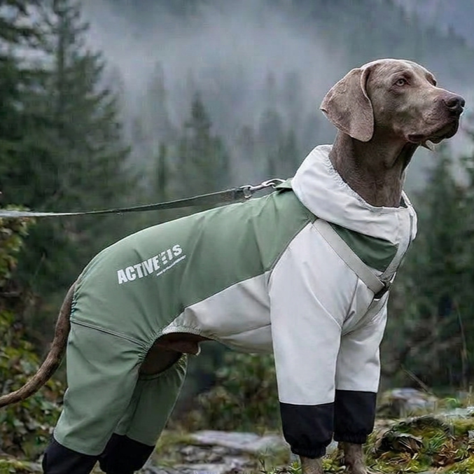 Large Dog Raincoat – Outdoor Rainwear, Sizes 3XL–8XL — QIUOLA | qiuola.com