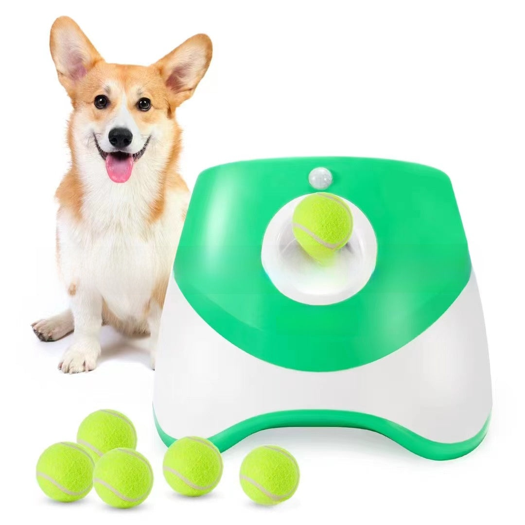 Automatic Dog Ball Launcher with 3 Balls — QIUOLA | qiuola.com