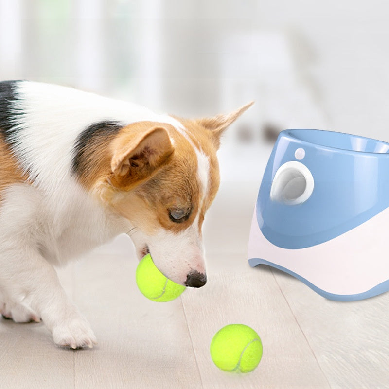 Automatic Dog Ball Launcher with 3 Balls — QIUOLA | qiuola.com