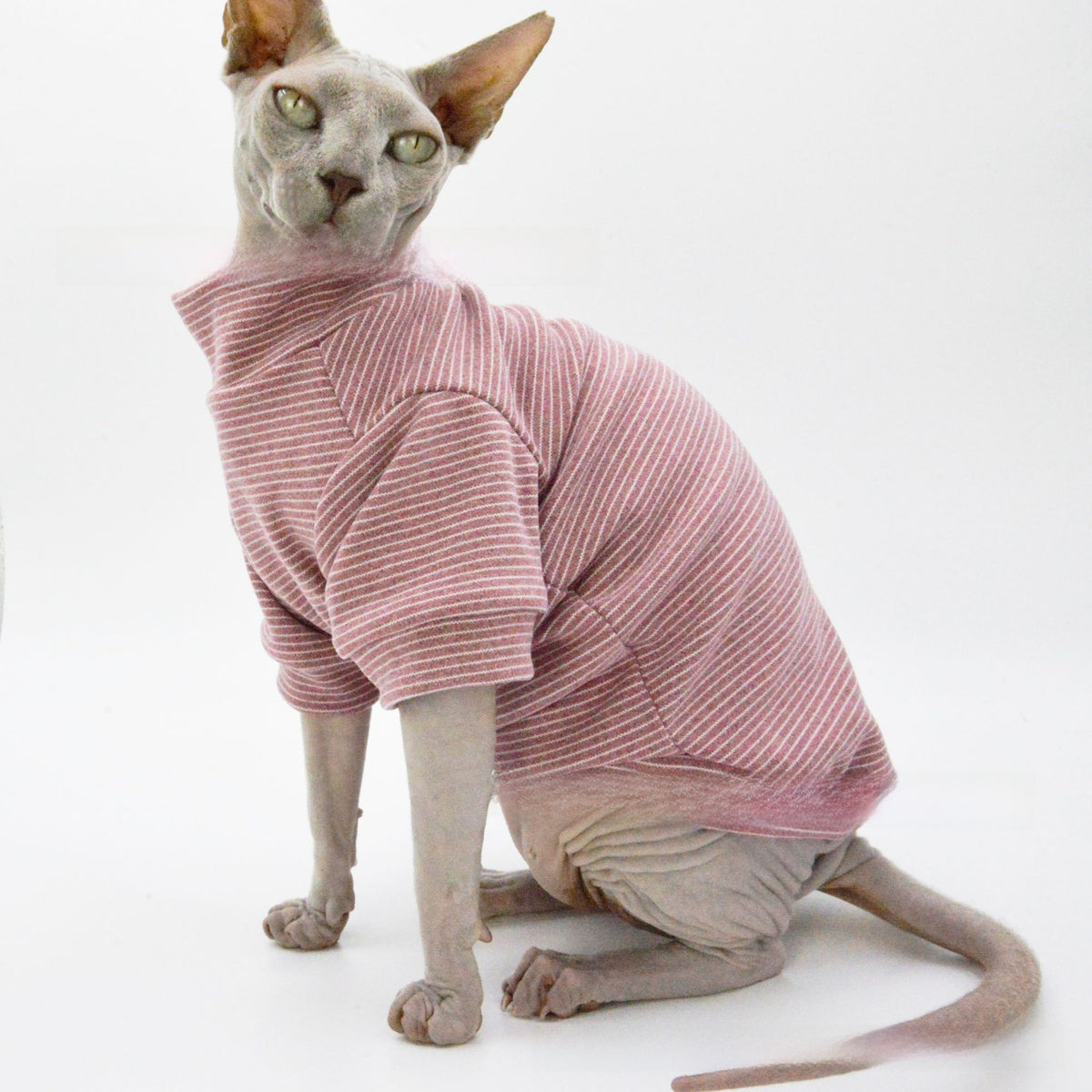 Two-Leg Pet Shirt in Striped & Solid Colours — QIUOLA | qiuola.com