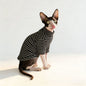 Two-Leg Pet Shirt in Striped & Solid Colours — QIUOLA | qiuola.com