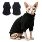 Two-Leg Pet Shirt in Striped & Solid Colours — QIUOLA | qiuola.com
