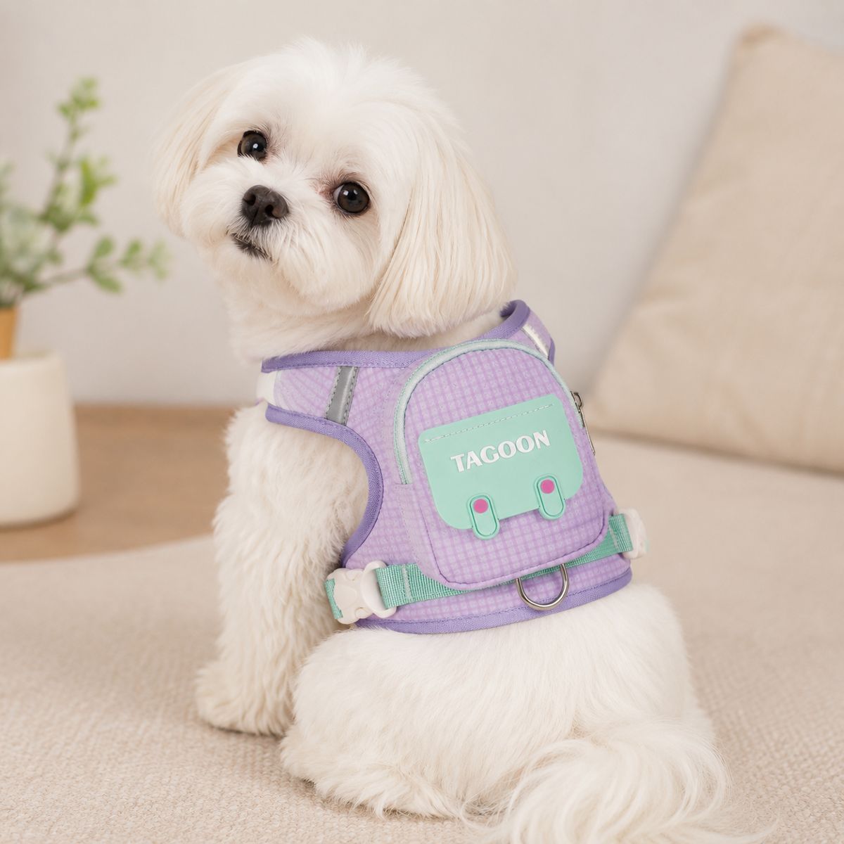 Nylon Pet Harness & Leash Options — QIUOLA | qiuola.com