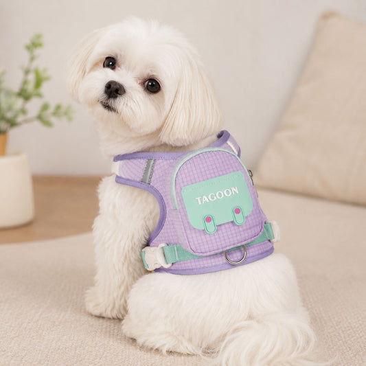Nylon Pet Harness & Leash Options — QIUOLA | qiuola.com