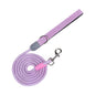 Nylon Pet Harness & Leash Options — QIUOLA | qiuola.com