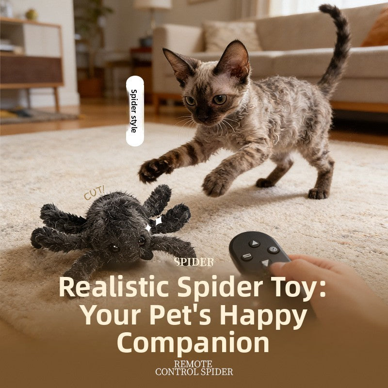 Interactive Plush Spider Cat Toy – USB or 2.4G Remote Version — QIUOLA | qiuola.com