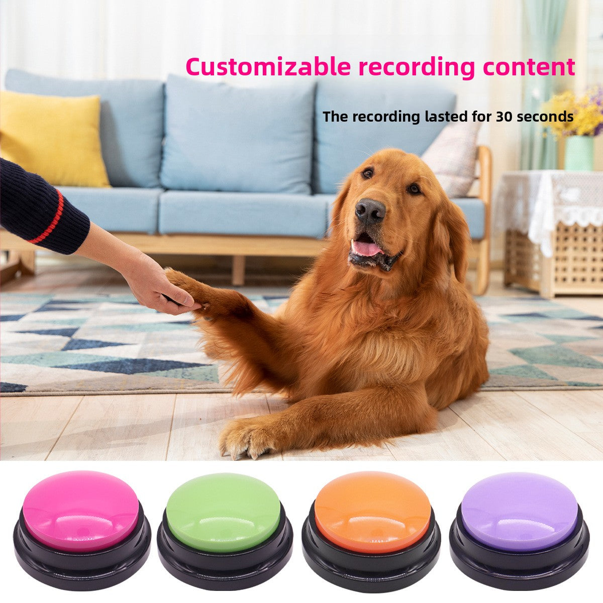 Recordable Pet Training Button for Dogs & Cats — QIUOLA | qiuola.com