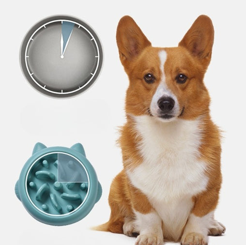 Slow Bowl Anti-Choke Slow Feeder — QIUOLA | qiuola.com
