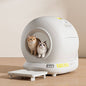 Wi-Fi Automatic Self-Cleaning Cat Litter Box — QIUOLA | qiuola.com
